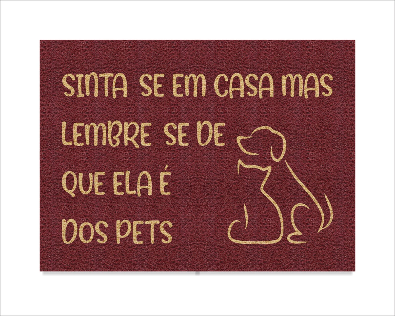 CAPACHO SINTA-SE EM CASA MAS LEMBRE-SE DE QUE ELA É DOS PETS