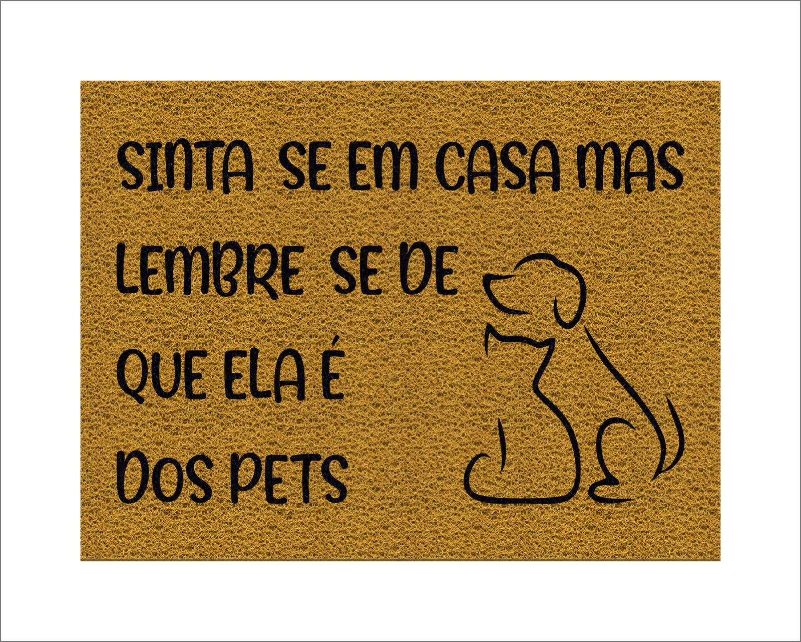 CAPACHO SINTA-SE EM CASA MAS LEMBRE-SE DE QUE ELA É DOS PETS - Imagem 4