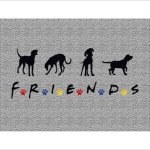 CAPACHO FRIENDS PETS